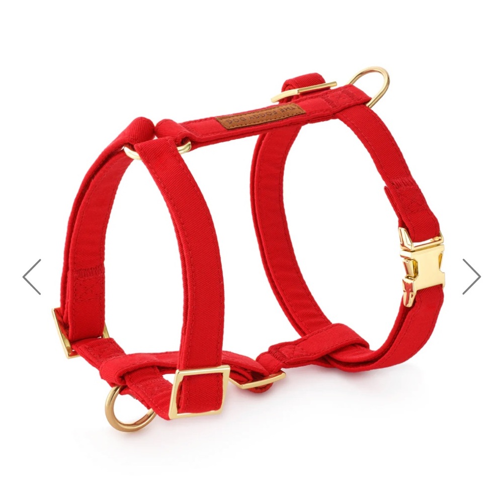 The Foggy Dog Vibrant Red Harness with Gold Accents